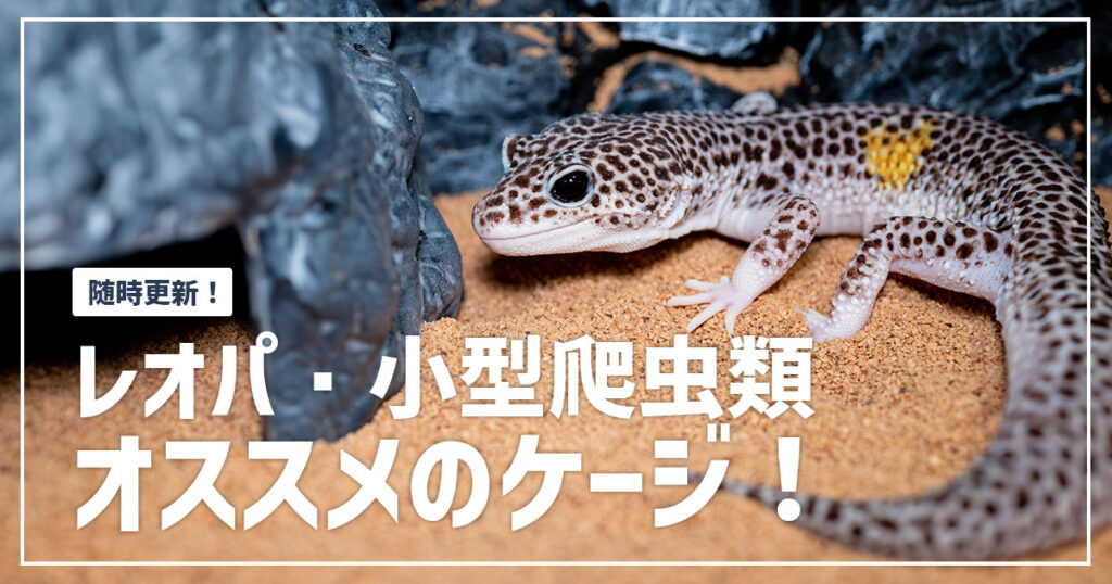 レオパ（ヒョウモントカゲモドキ）・小型爬虫類を飼うのにオススメのケージまとめ | イチヒラ動物日記