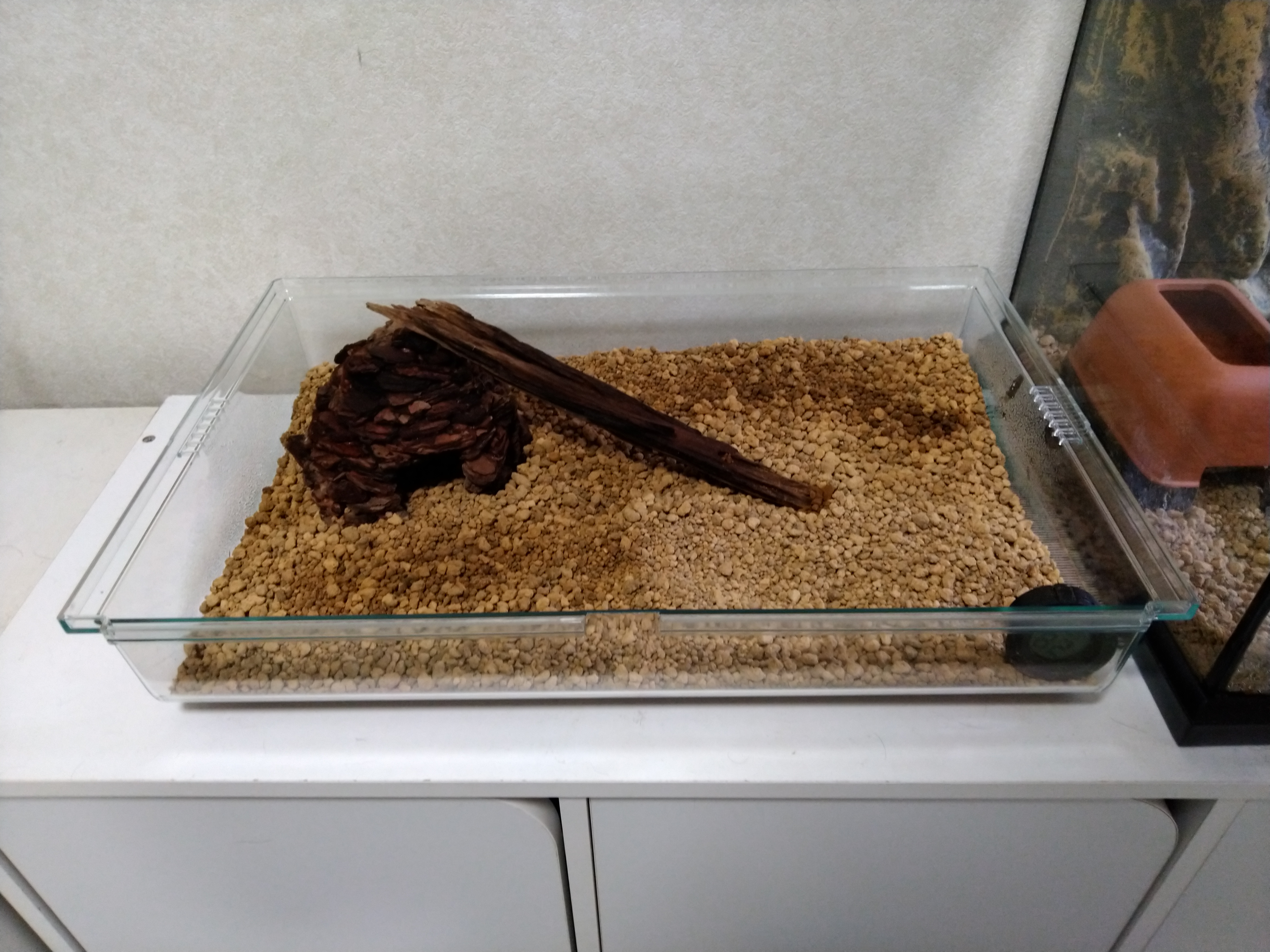 爬虫類用ケージに使える グラスハーモニー イチヒラ